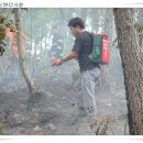 화성1리 이미지