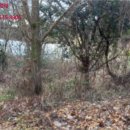 음현리마을회관 이미지