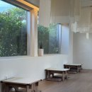 햇살처럼부산 | [부산 강서구 카페] 렛츠런파크 근처 우드톤 감성 가득한 햇살 가득 '카페월하' 솔직후기