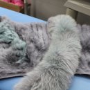 궁전세탁소 이미지