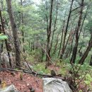 사방염소농장 이미지