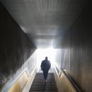 바디플랜 이미지