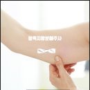 백명기의원