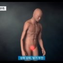 산약초이야기 - 남양주시 | 산약초이야기