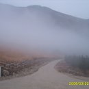 찬영축산 티스토리