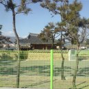 산대3리 이미지