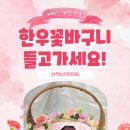 [가정의달] 특별한 카네이션과 한우의 조합 / 푸드백서 한우 꽃바구니 선물 세트 / 어버이날 / 스승의날...