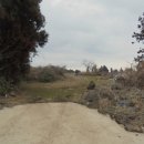 동광리-19 이미지