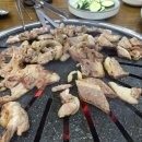 가야산오리 이미지