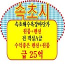 동서빌딩 | 해수욕장 건물 원룸 펜션 민박 매매 급매 KTX 역세권 동해북부선 동서고속철도 상가 주택 가격 절충 협의
