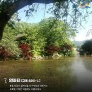 불행의 시작은 비교로부터 이미지