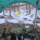 약진로변 이미지