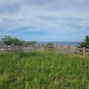 코리아부동산중개법인 주식회사 이미지