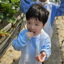 월서유치원(파랑새유치원) 이미지