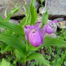 선류산장 이미지