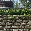 스테이 목월 이미지