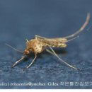 빨간집 - 하동군 악양서로 326 | 빨간집
