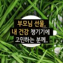 마음한줄 | “부추즙 효능? 저는 이 한 줄 후기에 마음이 움직였어요.”(부모님 선물, 내 건강 챙기기에 고민하는...