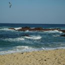 겨울바다 이미지