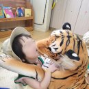 공도센트럴파크어린이집 이미지