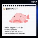 우리물산 이미지