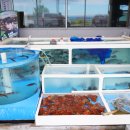 일월회집 이미지