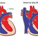 샤인동물메디컬센터 이미지