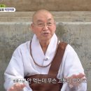 날마다새날 | 깨달음을 얻고자 98일간 단식하신 석가모니 부처님[스님과 손님 리뷰]