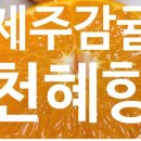 방가네농장 이미지