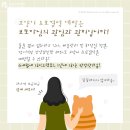 고강동물병원