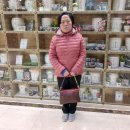 일신이용소 - 달서구 | 일신이용소