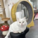 베키보육원 이미지