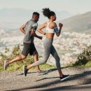 퍼펙트짐2 이미지