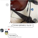 2024 MAR(2) - 생일 주간