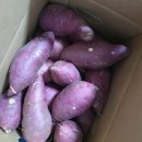 일호농원 이미지