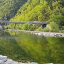 성주 산그늘펜션 이미지