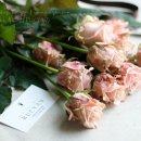 디오스컴퍼니 이미지