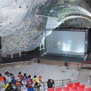 나비야놀자 이미지