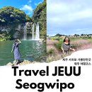 힐게임랜드 | 서귀포 가볼만한곳 제주 여행 코스 제주도 체험