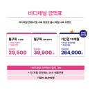 채널365 이미지