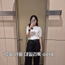 10월 가을 데일리룩 ootd (cos코스 르플레인 플라넬 broon브론 파사드패턴 frenu프레누 루에브르 ownt온트)