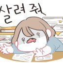 호야푸드 이미지