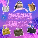 (주)디올테크 | 해시박스 몬스터 당첨 상품 신상 업데이트! - 25년 6월 명품 (feat.디올, 프라다, 생로랑)
