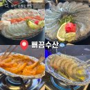 부산우리뜸침교육원 | 부산 전포 횟집 뻐끔수산 생새우회 맛집 주말 웨이팅 솔직 후기