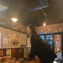 [ 혼술집 103호 : 백삼호 ] 사장님이 시그니처인 한국판 심야식당, 청주 산남동 맛집