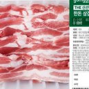 하이숙성 이미지