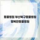 행복한동물병원 | 동물병원 부산북구동물병원 행복한동물병원