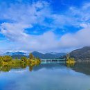 강가의아침 이미지