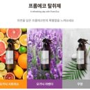 프롬미네일