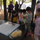 양남병설유치원 이미지